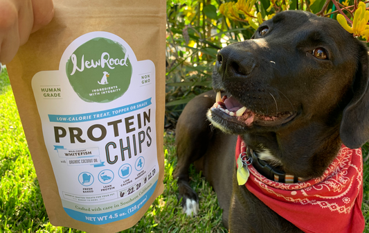 NEW Wild-Caught Whitefish Protein Chips Are Here!