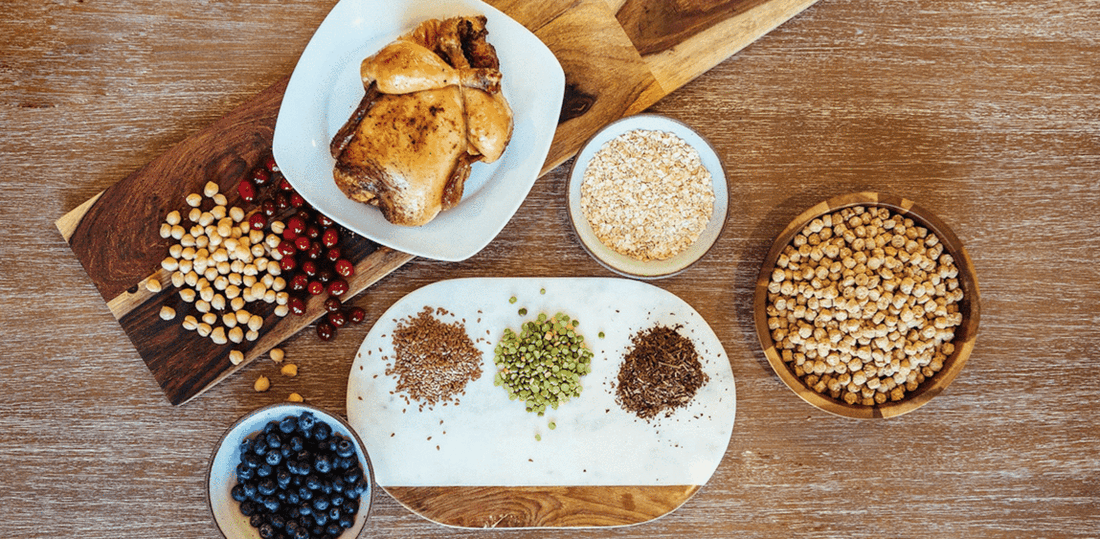 Food vs Feed – What’s In Your Dog’s Food?