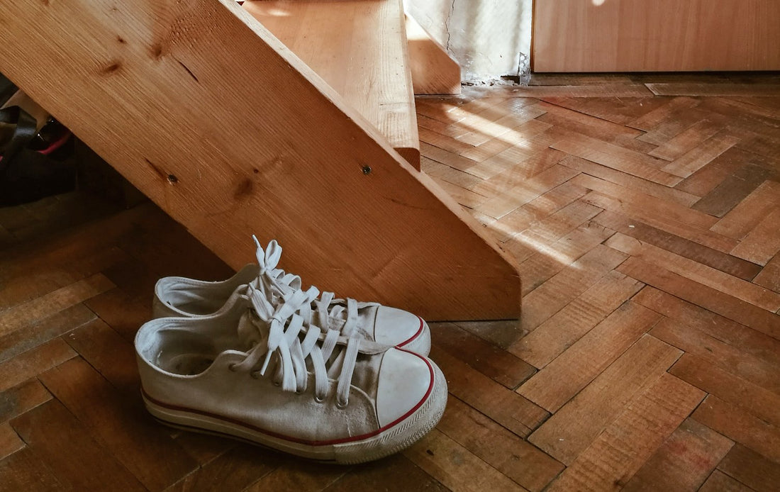 Founder's Note / 1: Pet Food Shoes
