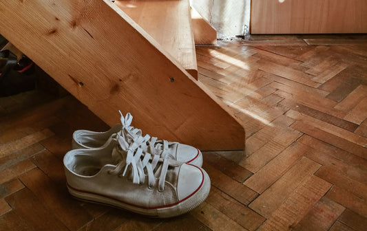 Founder's Note / 1: Pet Food Shoes